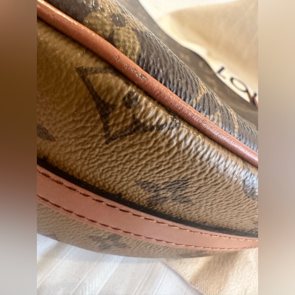 Louis Vuitton Loop Hobo - Picture 15 of 16